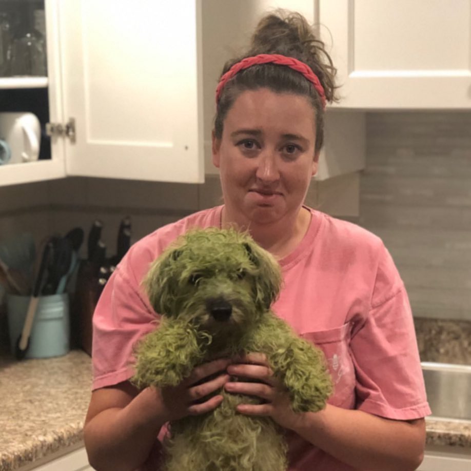woman holding a dirty dog