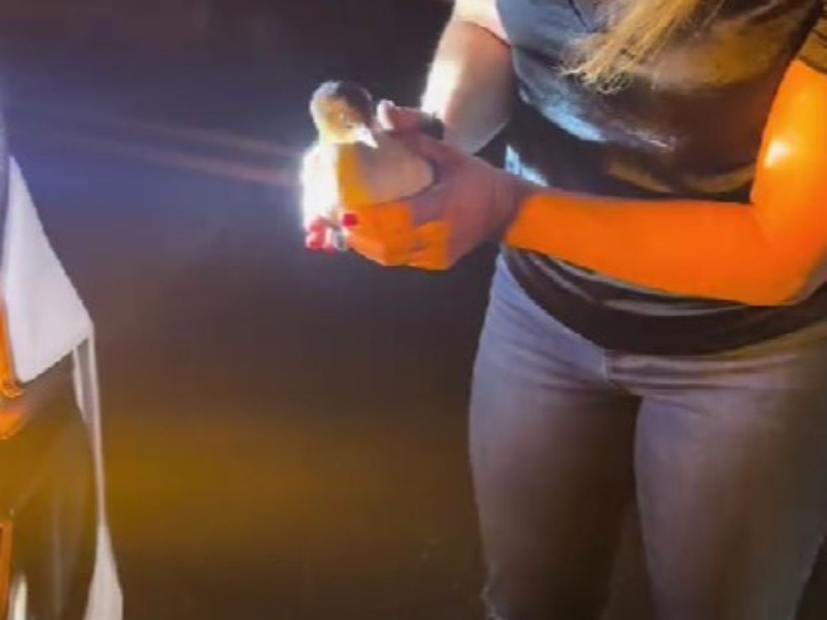 woman holding a duckling 