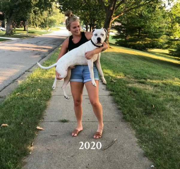 woman holding a giant dog