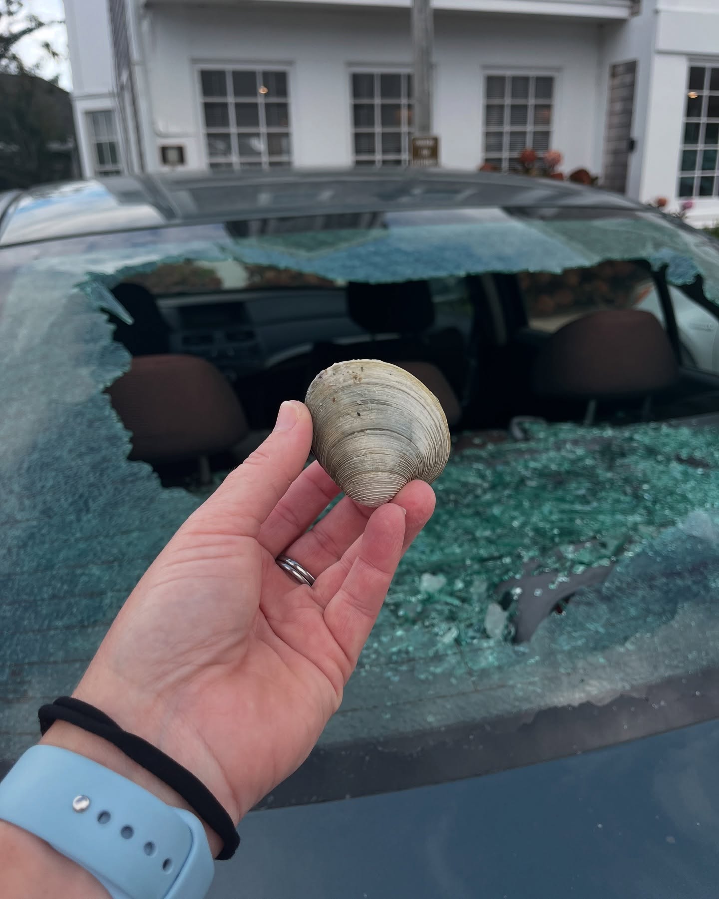 woman holding a seashell
