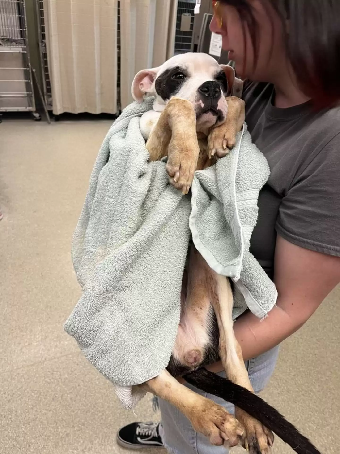 woman holding a starving dog