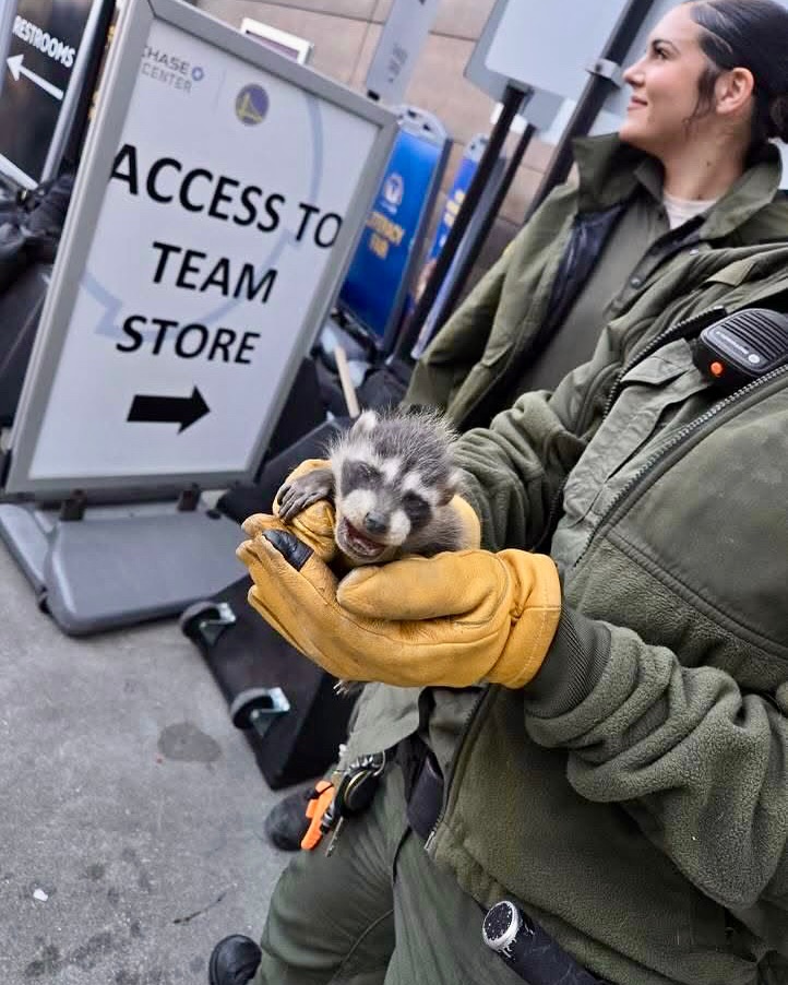 woman holding a tiny animal