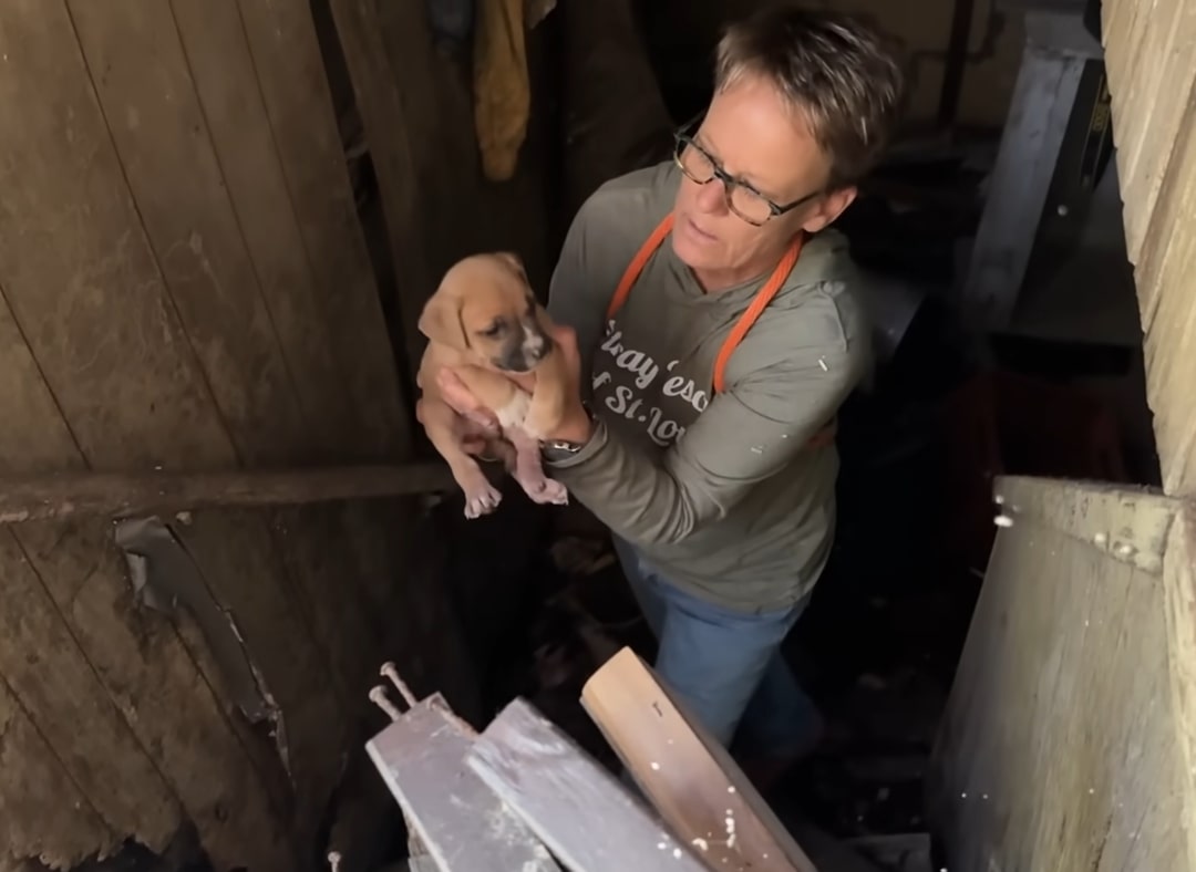 woman holding a tiny puppy