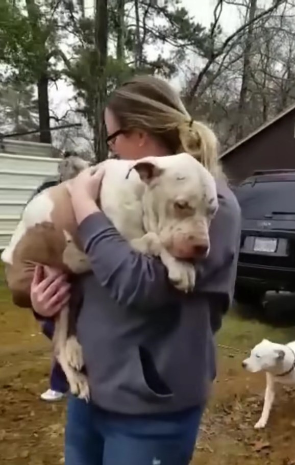 woman holding abandoned pup 