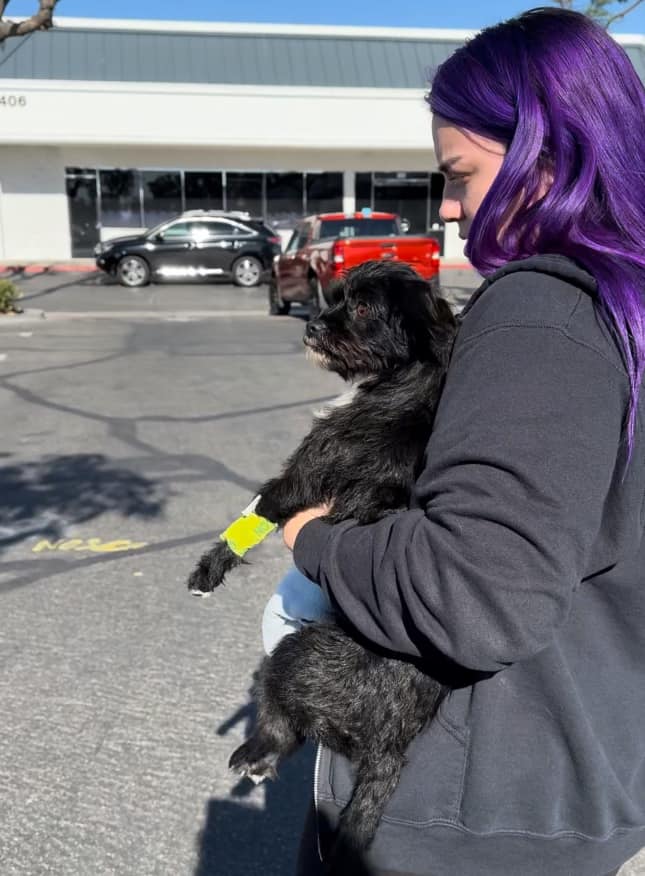 woman holding an injured dog