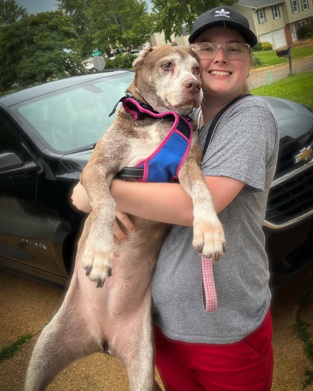 woman holding senior dog