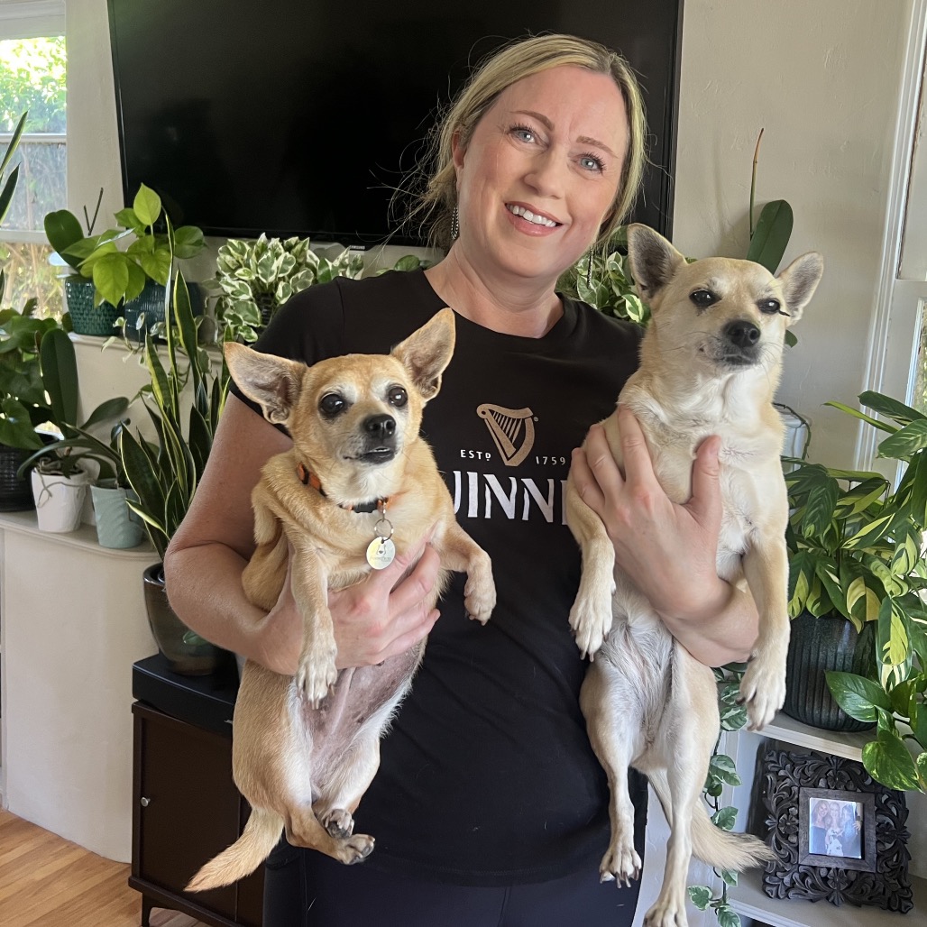 woman holding two chihuahuas 