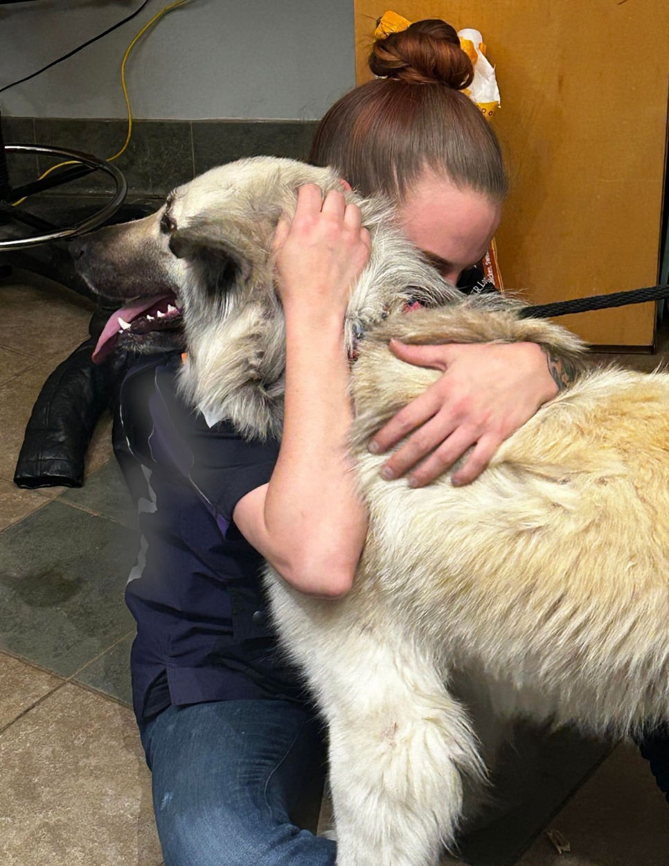 woman hugging a dog