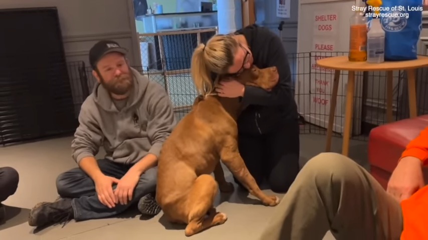woman hugging a dog