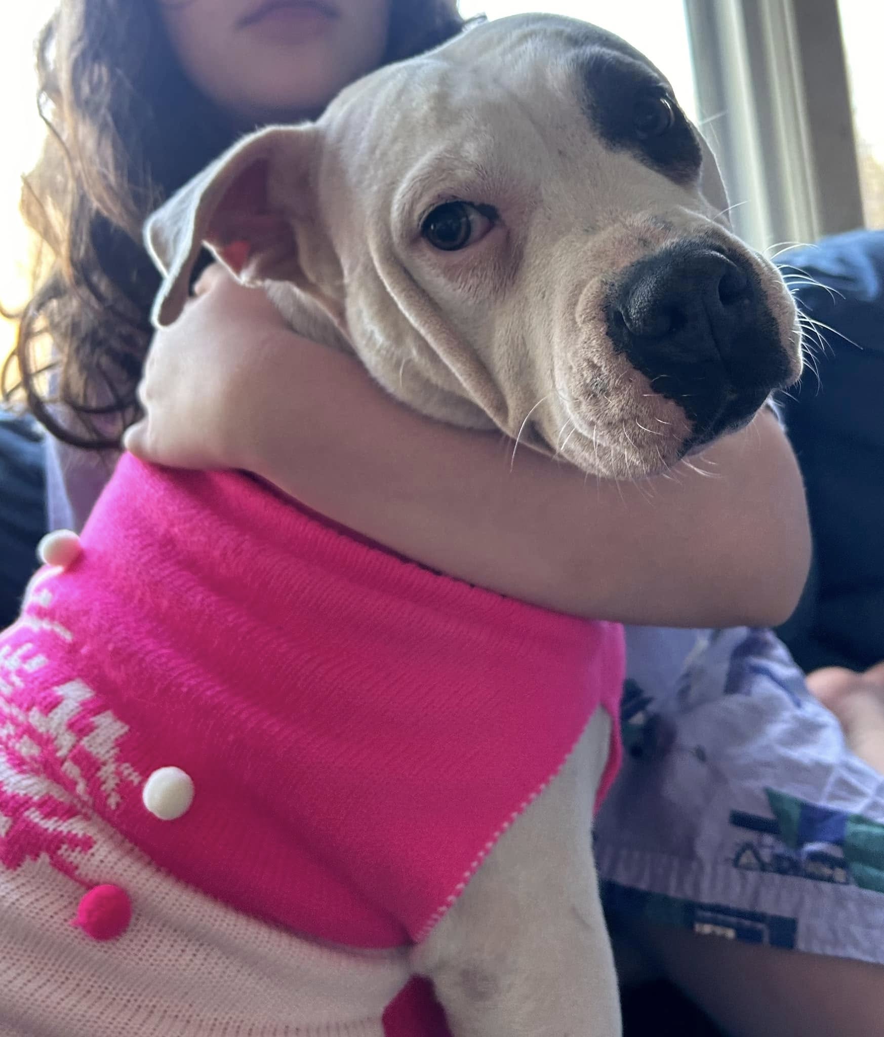 woman hugging a dog