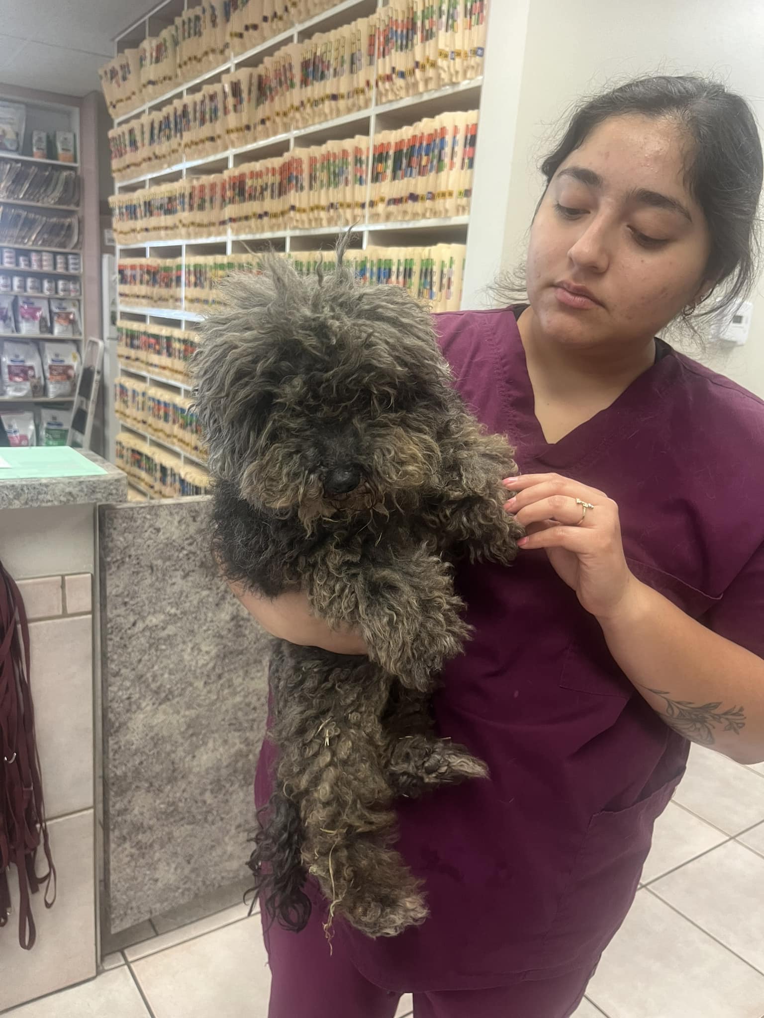 woman in purple holding a matted dog