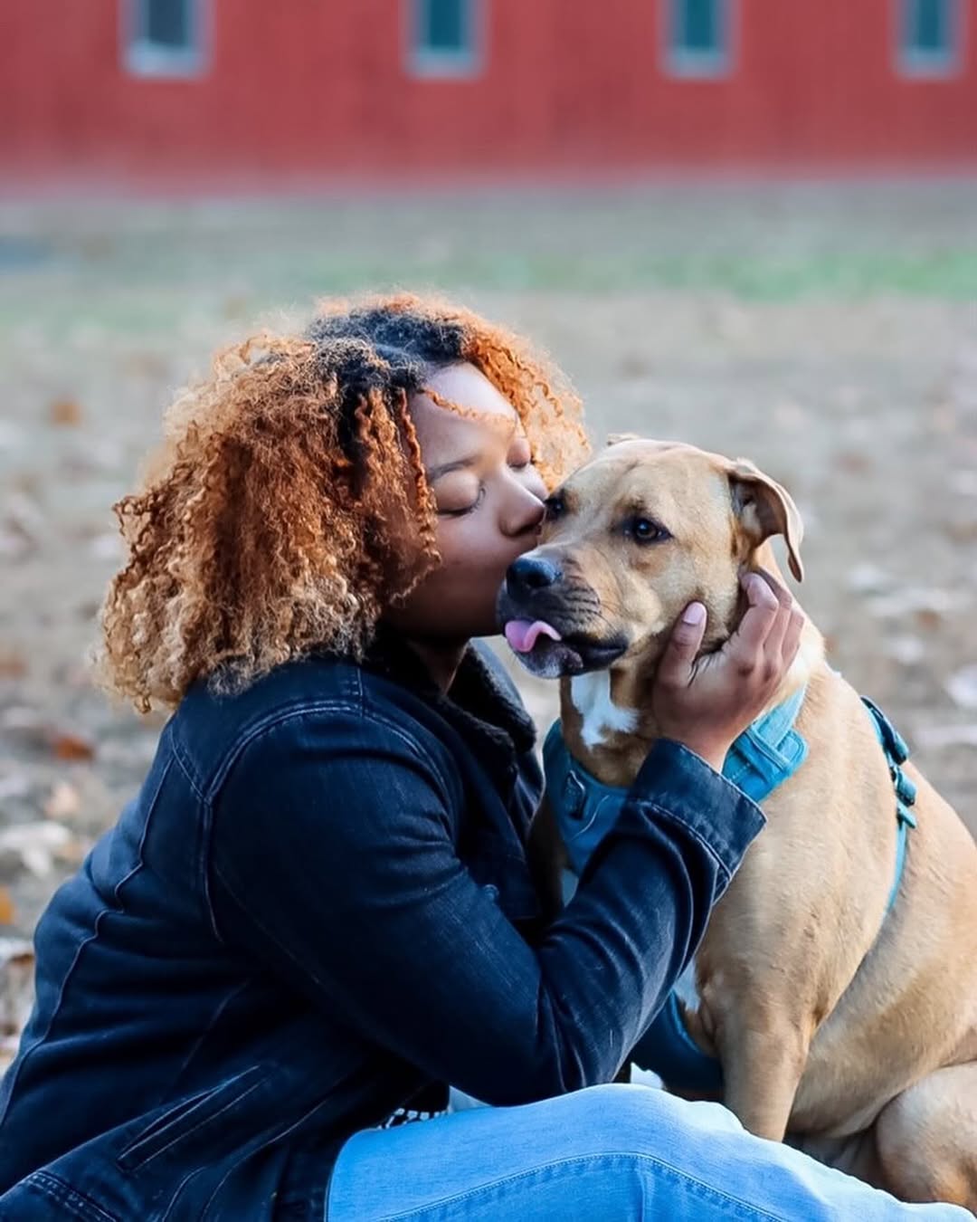 woman kissing a dog