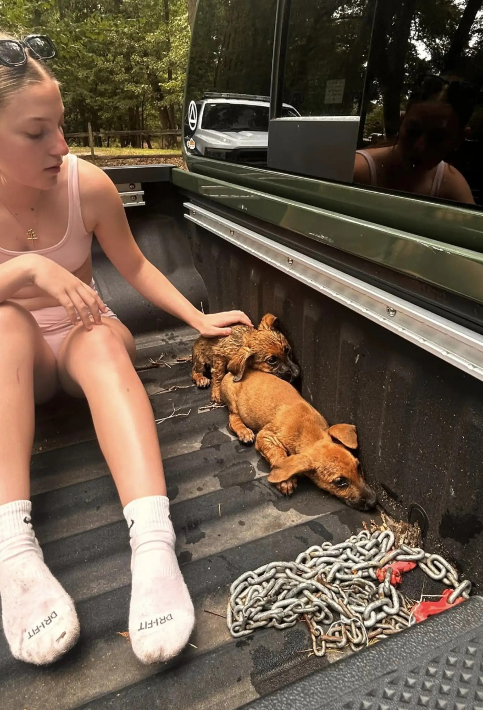 woman petting scared puppies