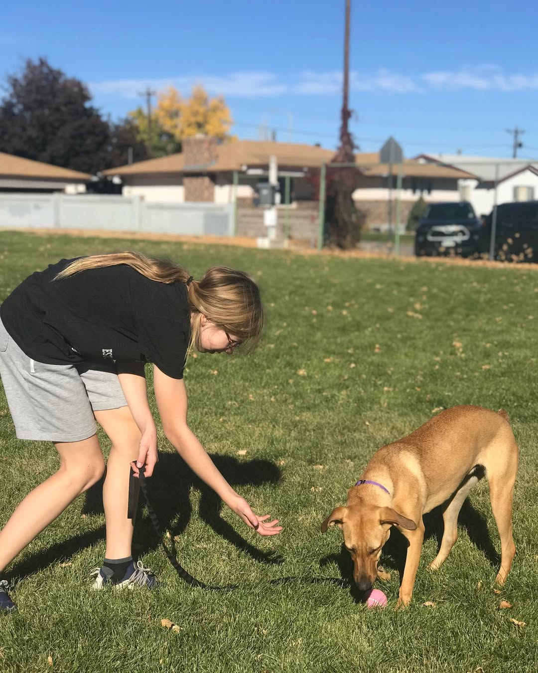 woman playing with dog