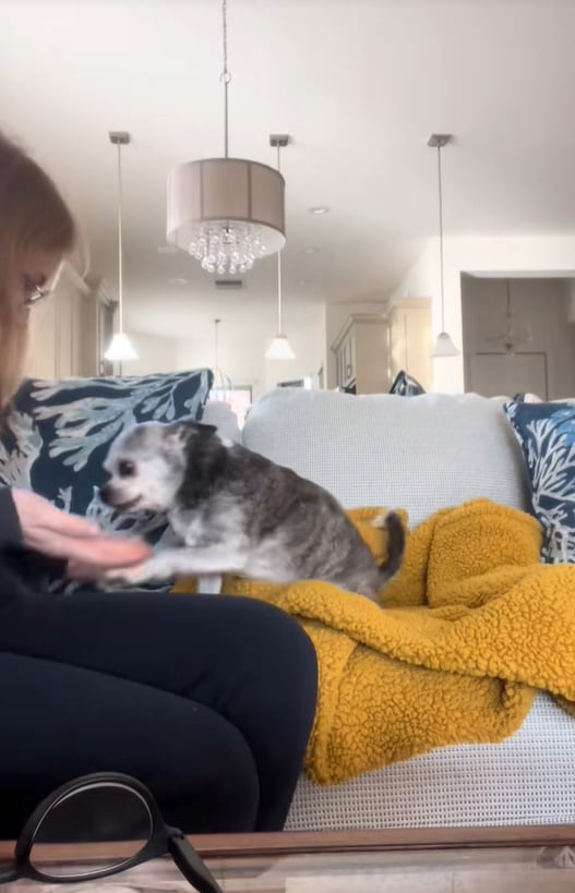 woman playing with dog