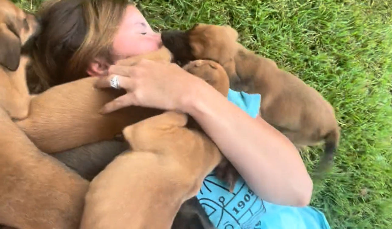 woman playing with puppies 