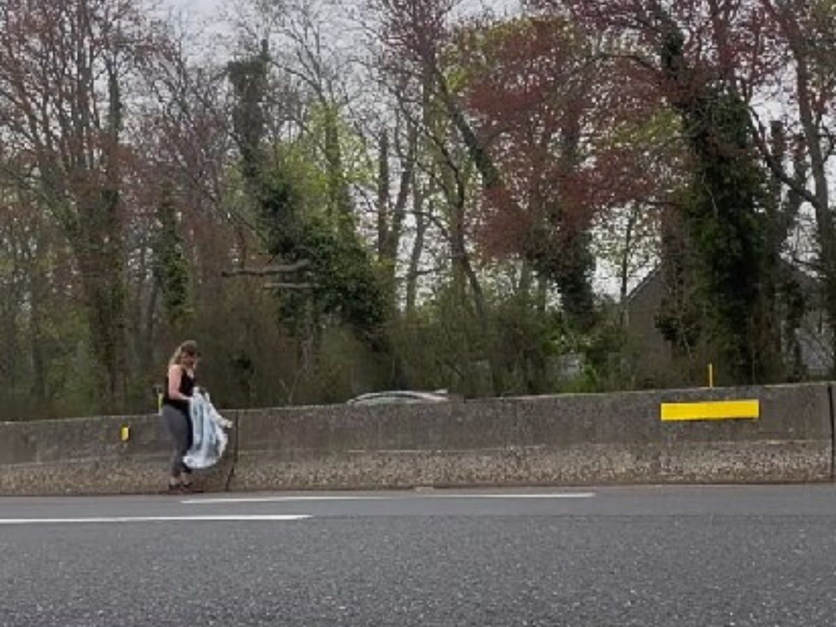 woman rescuing animal 