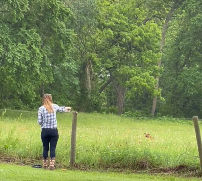 woman sees an abandoned pup in the grass