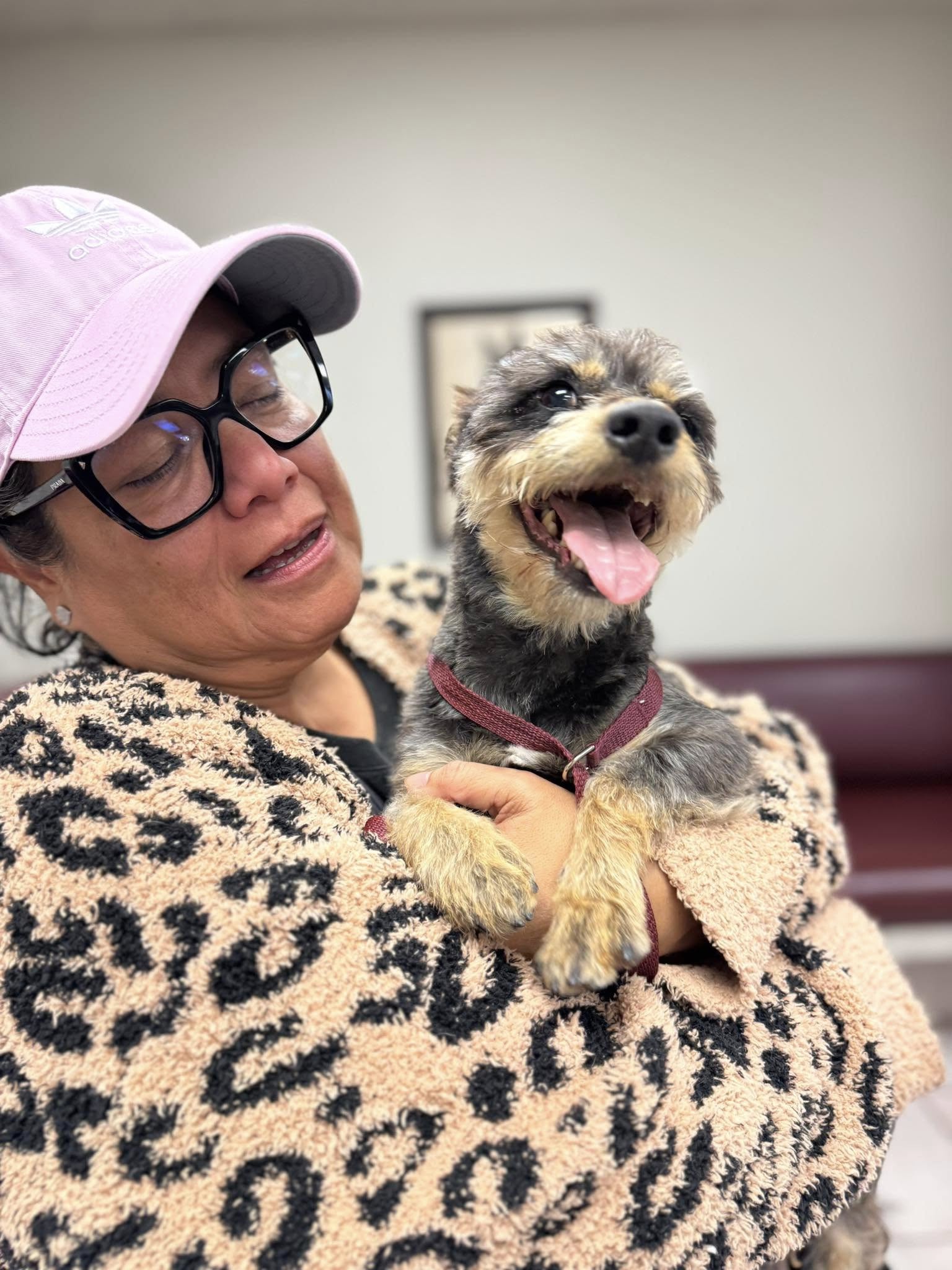 woman with glasses holding a shaved dog