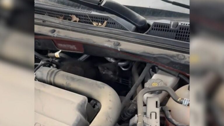 car engine