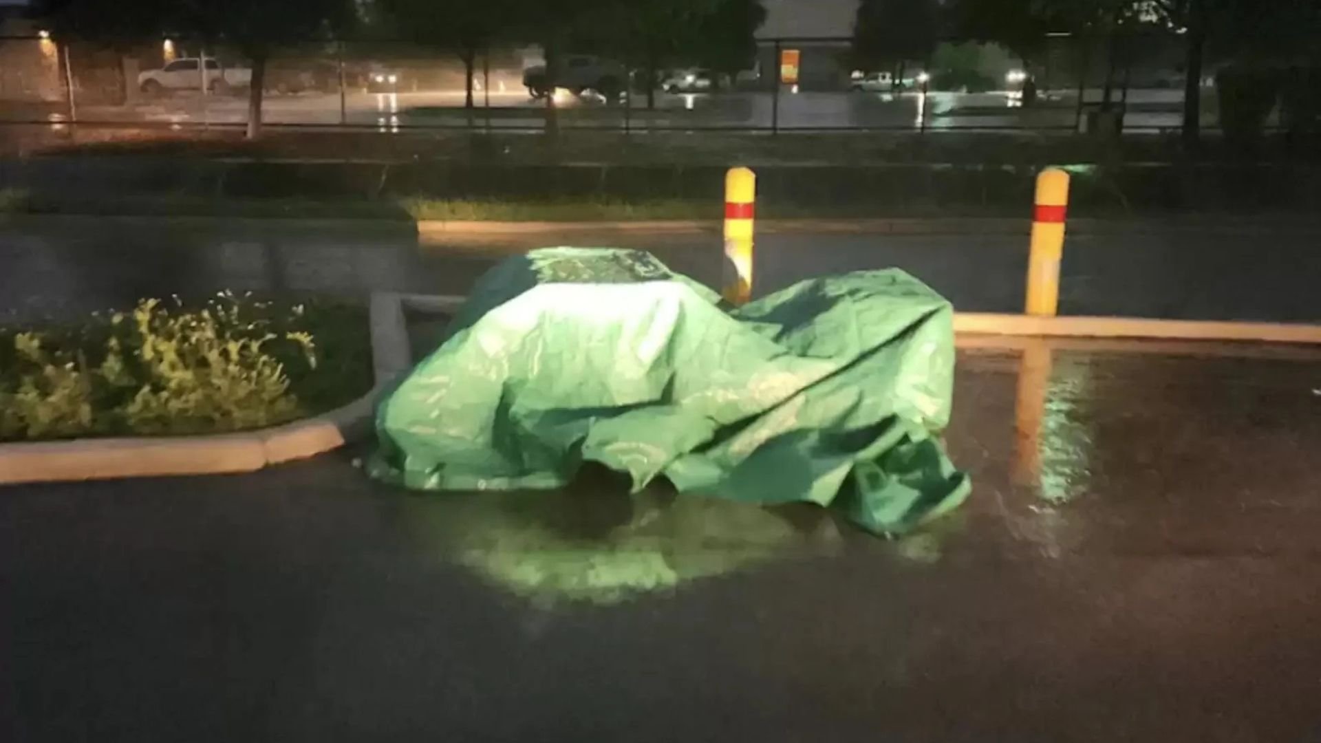 After A Stormy Night, Texas Shelter Staff Find Something In Their Parking Lot That Breaks Their Hearts