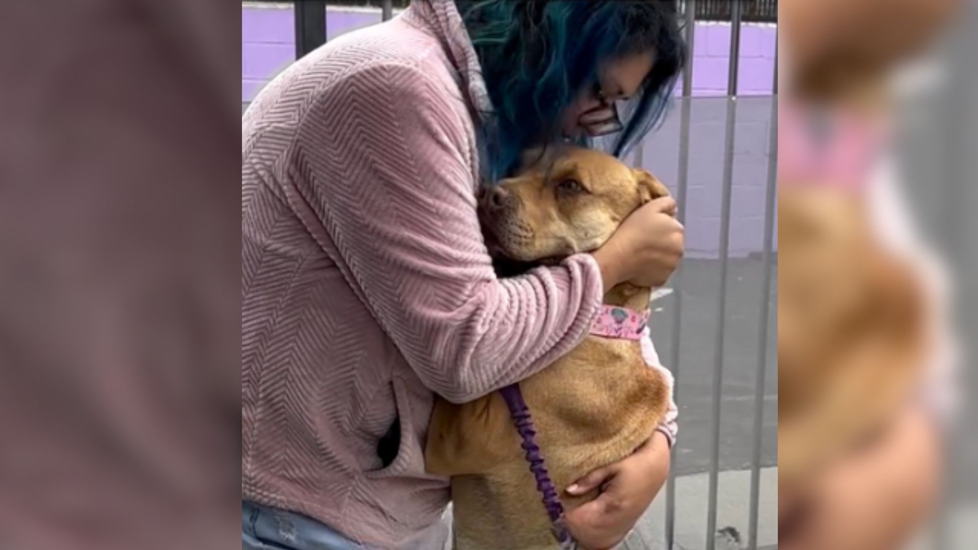 woman holding a dog