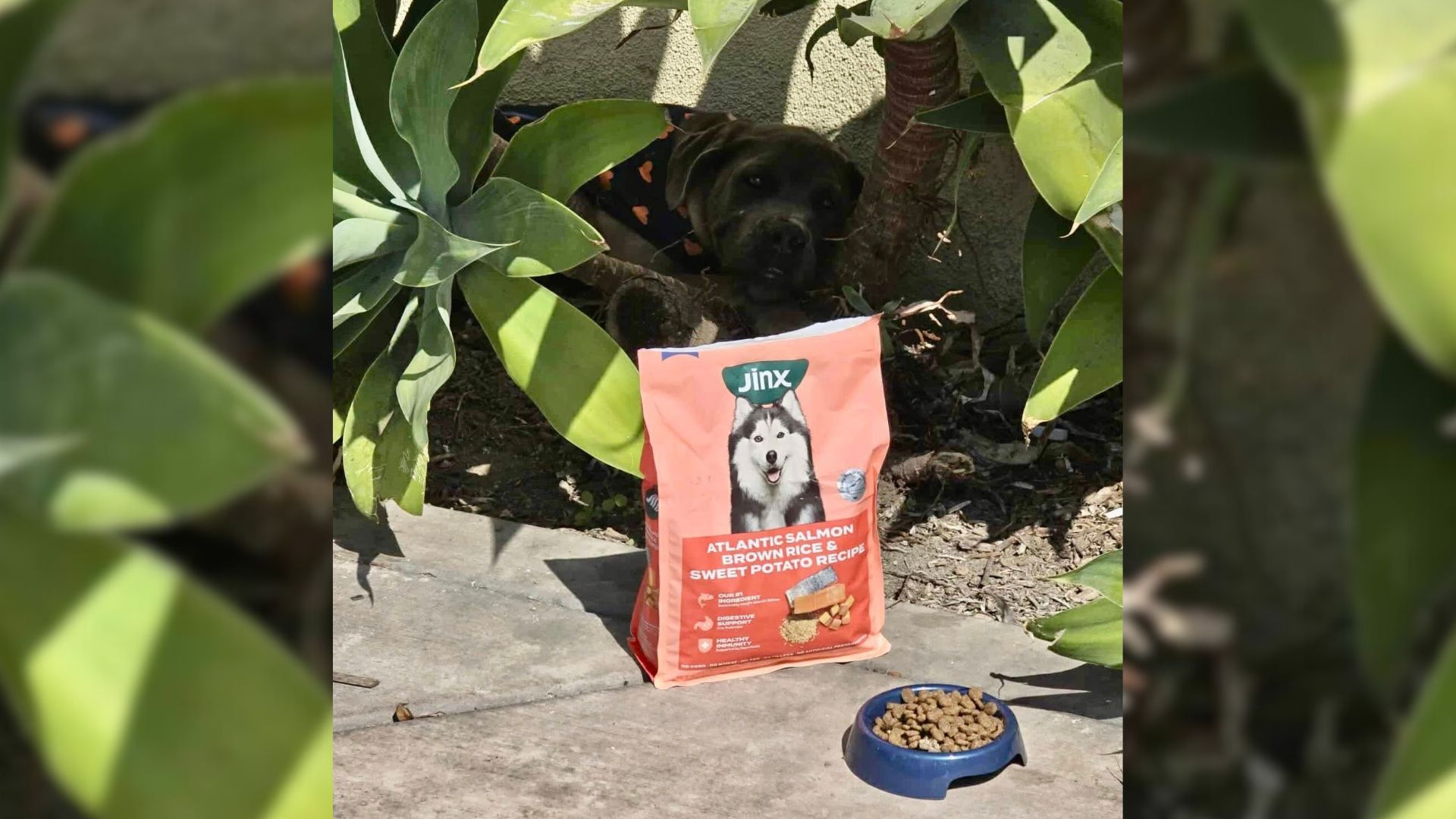 food in bushes