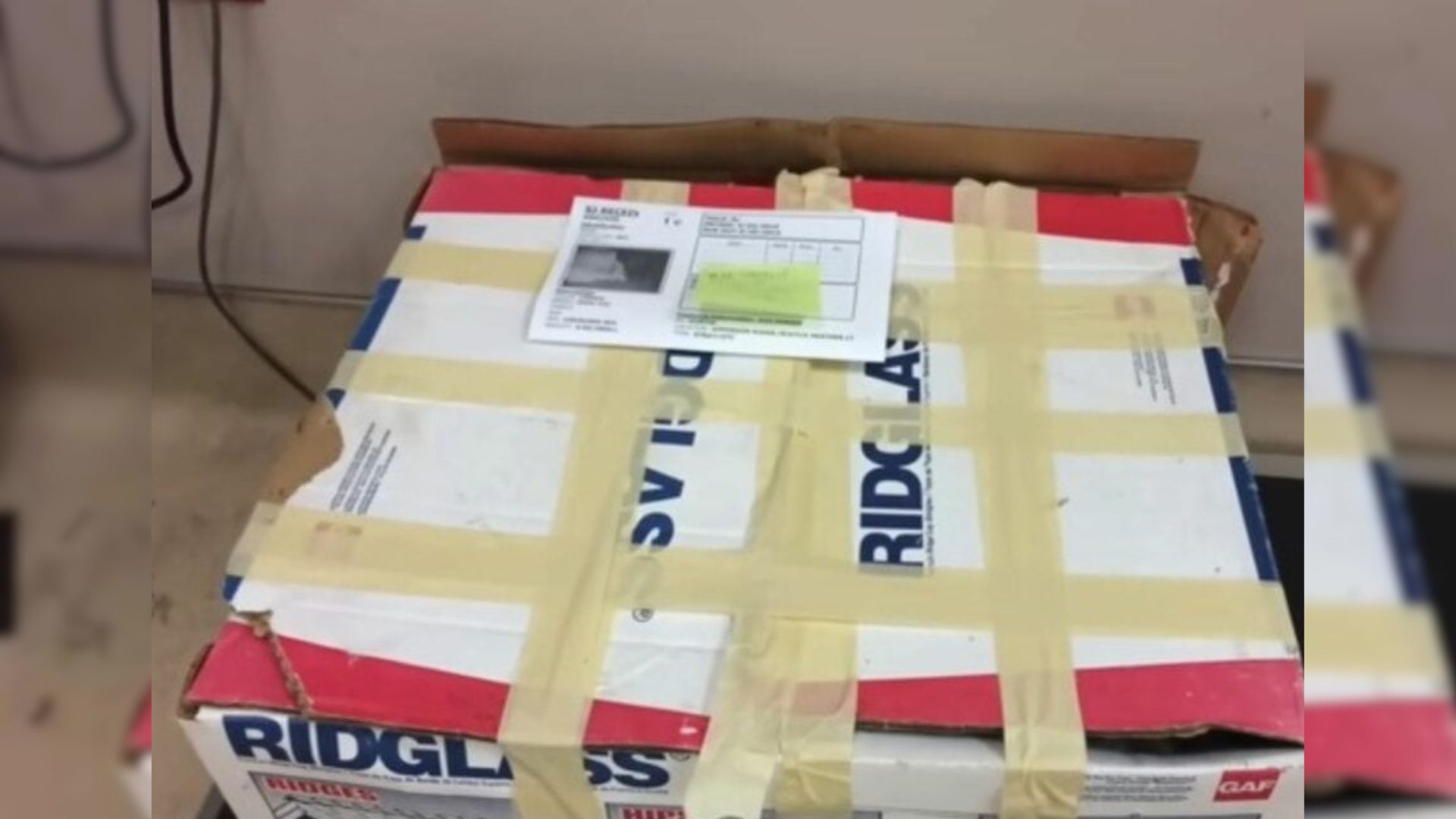 California Shelter Opens Sealed Box And Finds A Dog Who Needed More Than Rescue