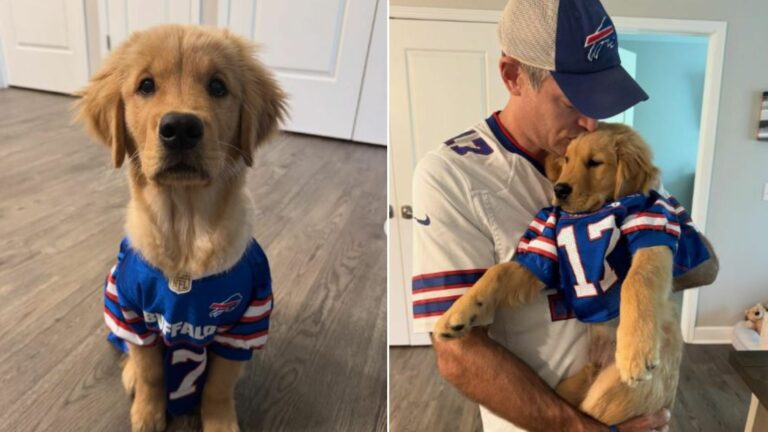 owner and puppy