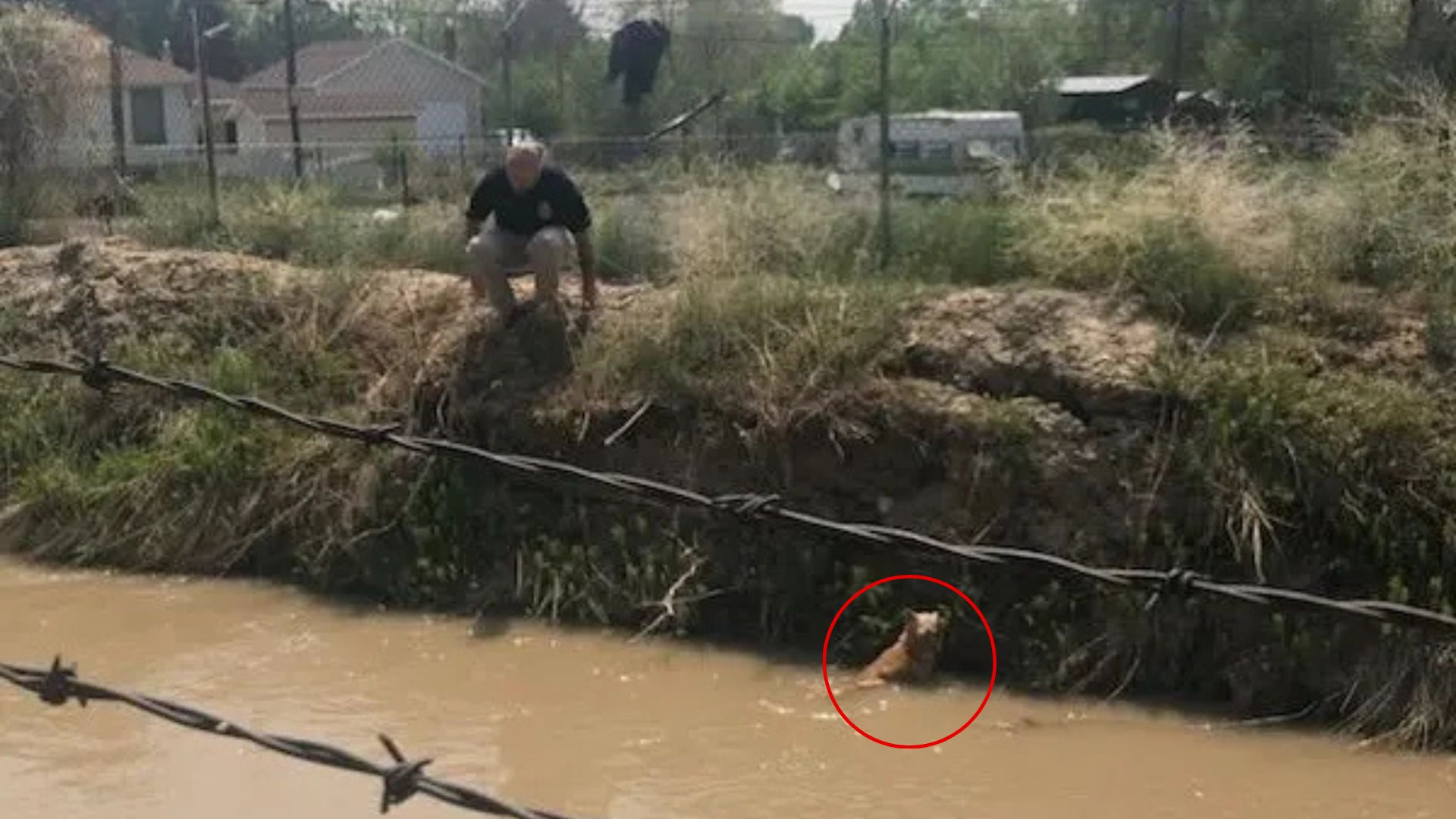 Couple’s Curious Find In Utah Canal Turns Into A Shocking Revelation