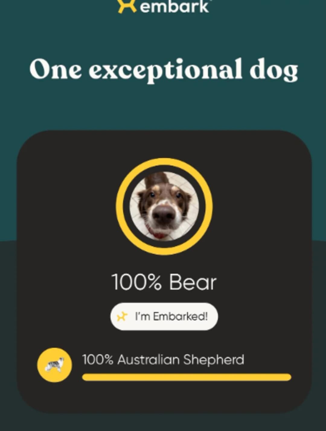 DNA of dog