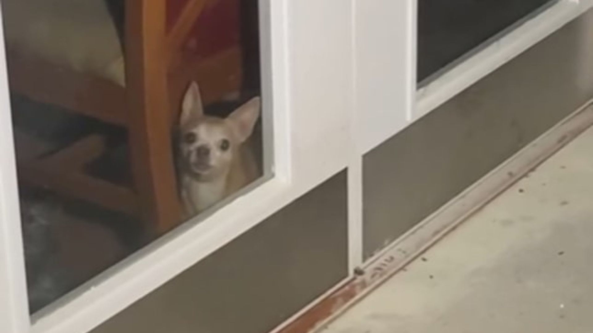 Explorers Hear Barking In An Empty Illinois Hospital And Witness A Scene They Can’t Explain