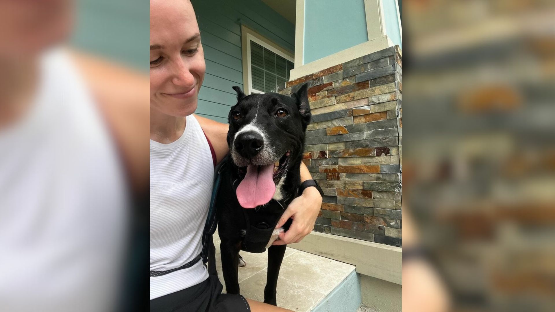 Florida Dog Becomes Local Star After Joining Mom’s Daily Running Routine