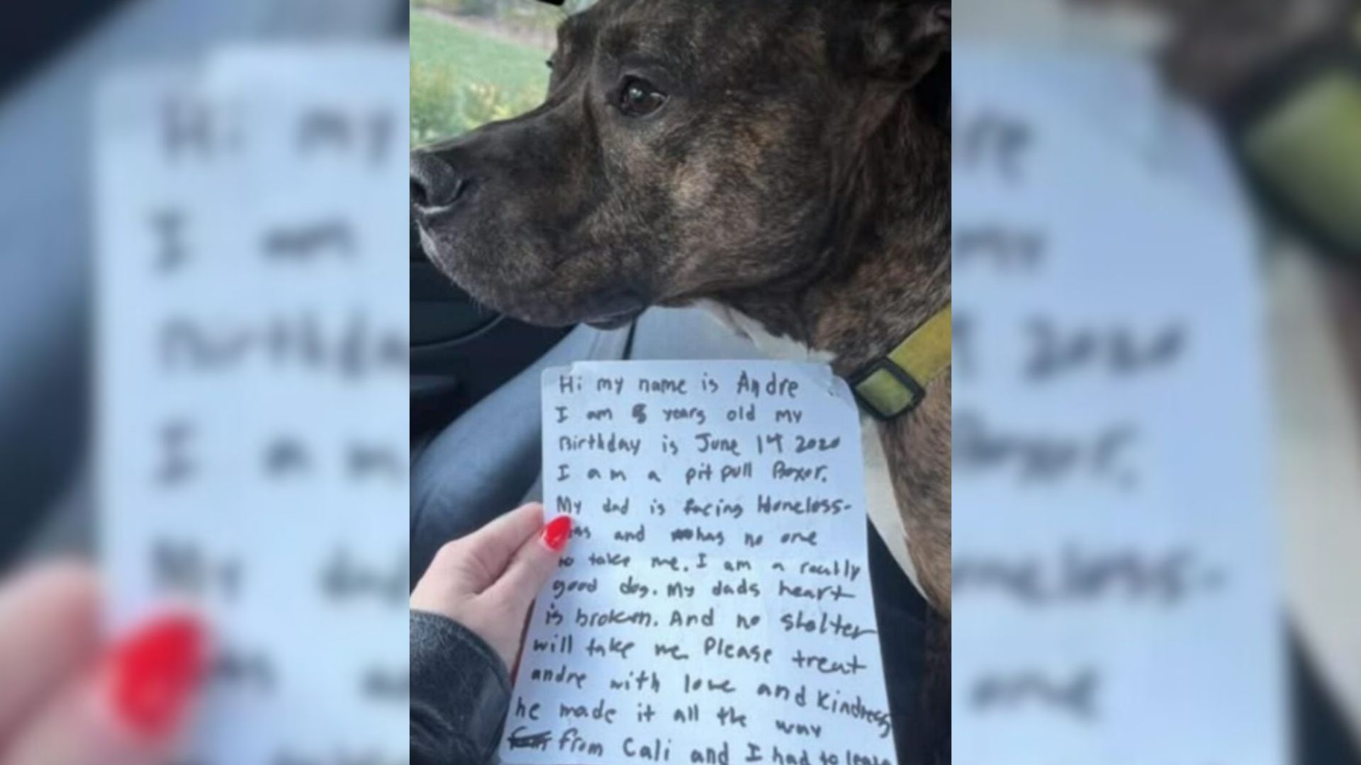 dog and note