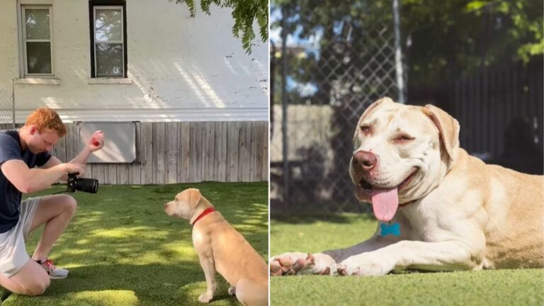dog photoshoot