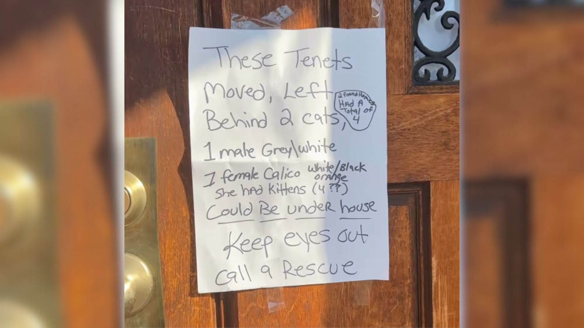 Kansas Property Managers Followed A Note On A Door And Found Many Furry Surprises Hidden In One Spot