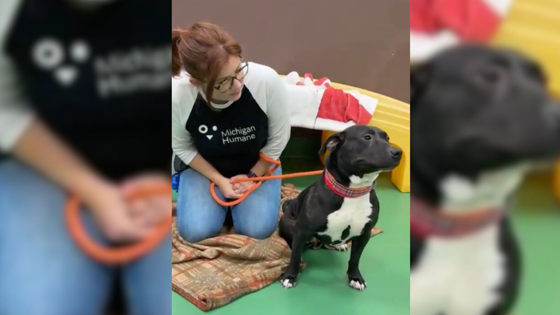 Michigan Man Encounters Shelter Dog He Recognizes, Leading To Touching Reunion