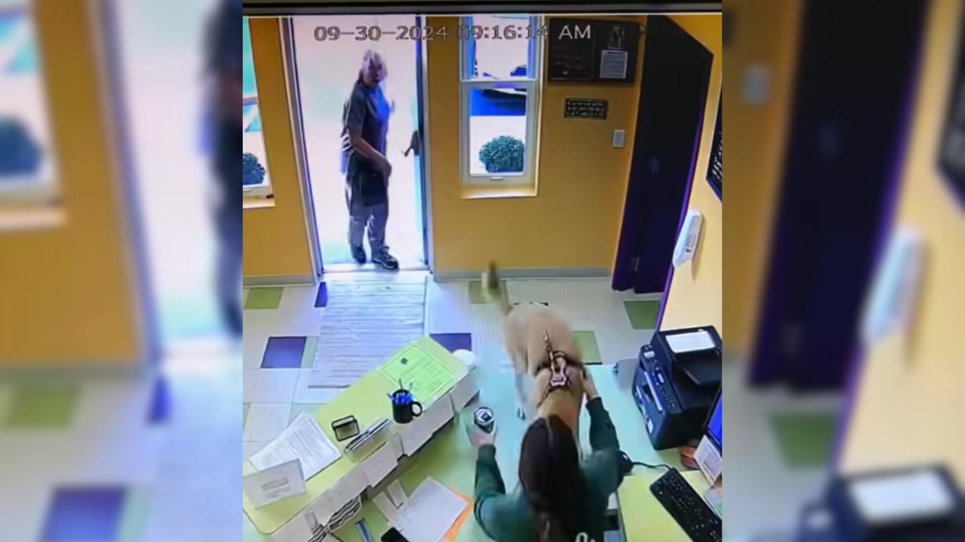 Michigan Pup’s Excitement At Daycare Caused A Shocking Reaction Nobody Predicted