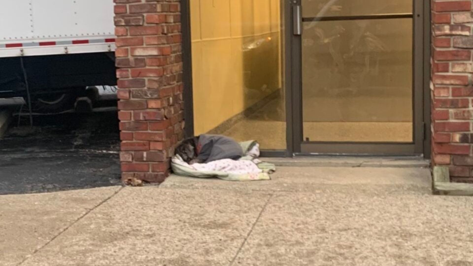 Michigan Shelter Dog Found In The Cold Is Given A Name That Reflects Her Fight To Survive
