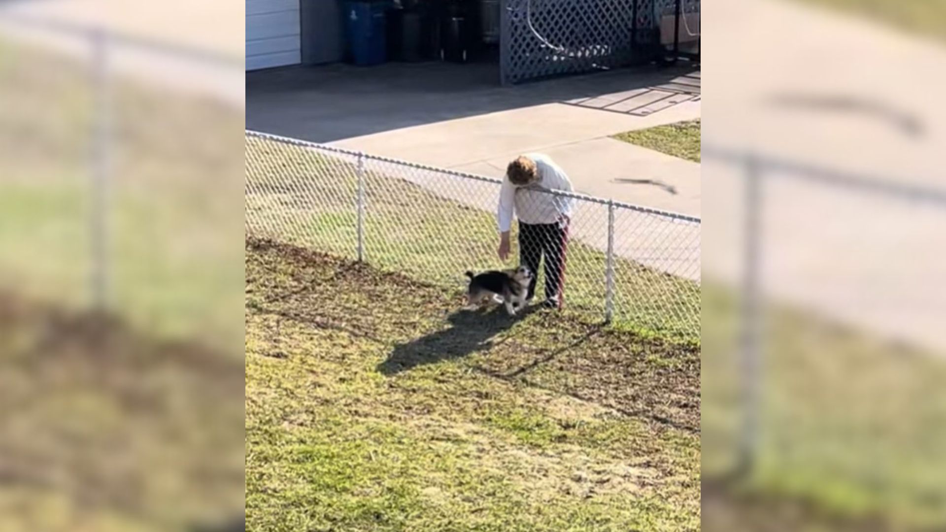 Minnesota Couple Finds A Sweet Way To Stay Close To Their Neighbor’s Dog
