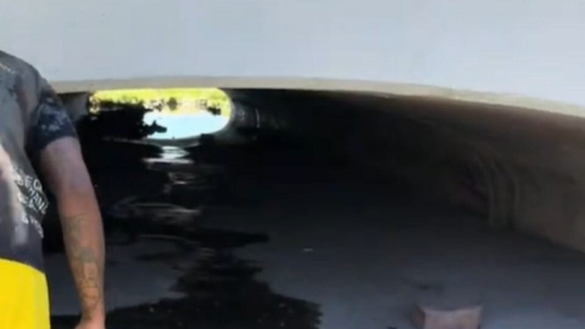 Nevada Couple Hears Cries Under a Bridge And Finds A Tiny Surprise