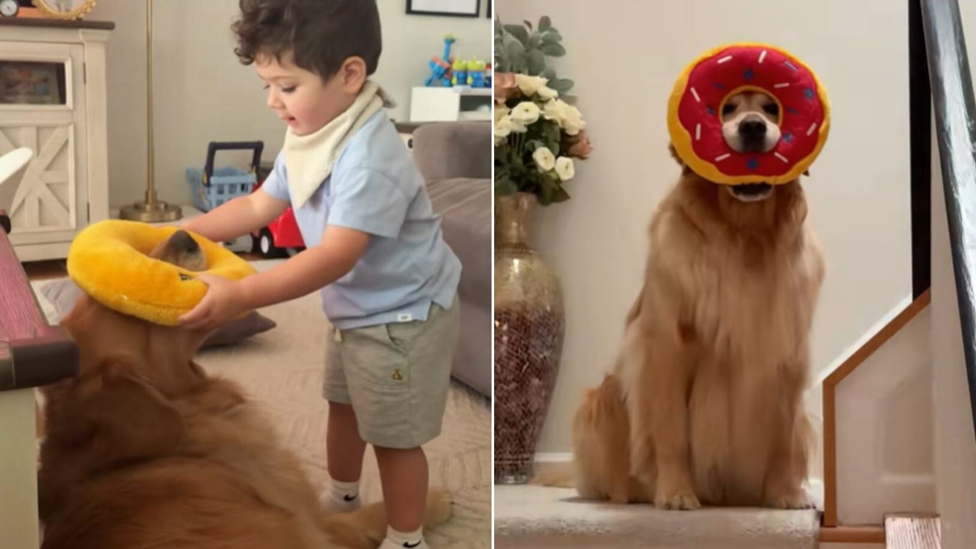 New Jersey Parents Watch Their Toddler And Dog Play A Strange Game That Turns Out To Be Something Beautiful