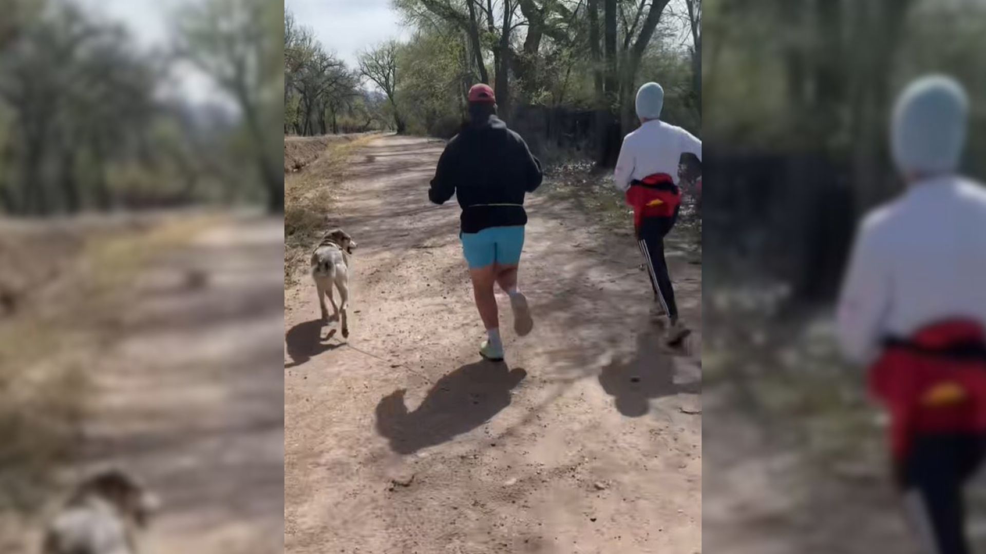 New Mexico Man’s Run With Shelter Dog Turns Into Something Incredible