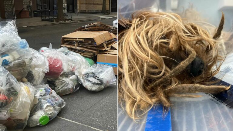 trash on street
