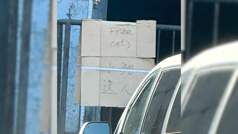 sign on cardboard