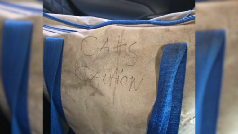 bag