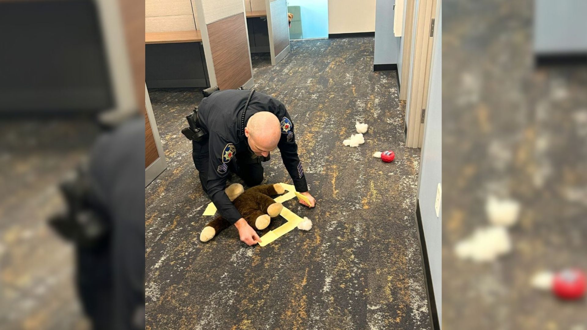 Officer In California Walks Into A Shocking ‘Crime Scene’ And Finds The K9 Acting Suspiciously Guilty