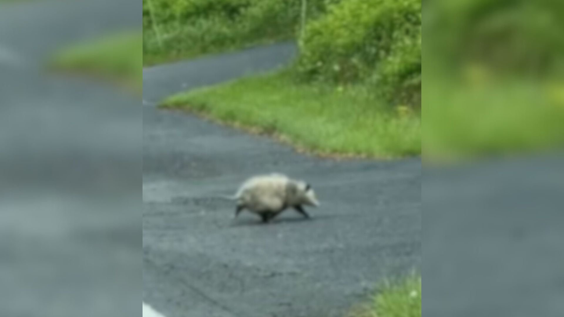 Pennsylvania Driver Notices An Unexpected Figure Hunched On A Rain-Soaked Road And Steps Out To Look