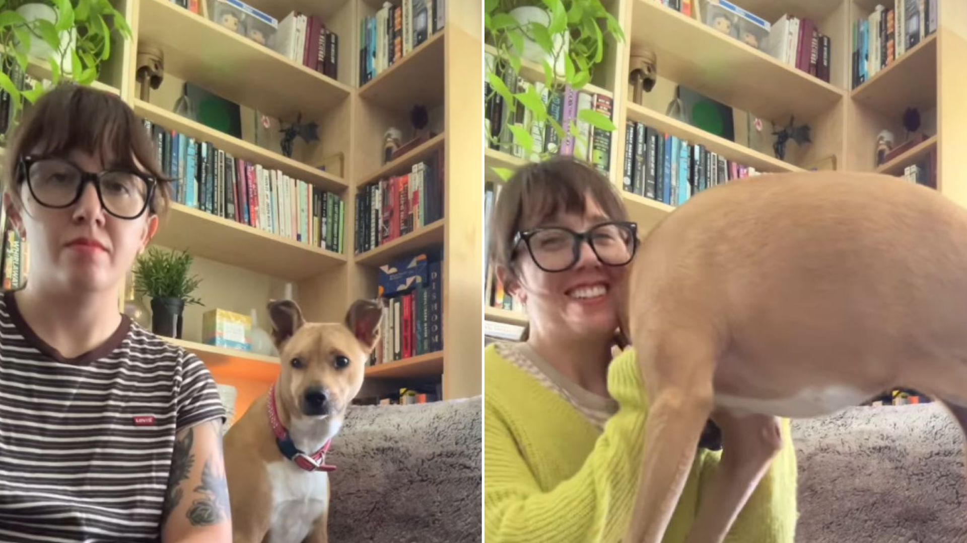 woman and dog