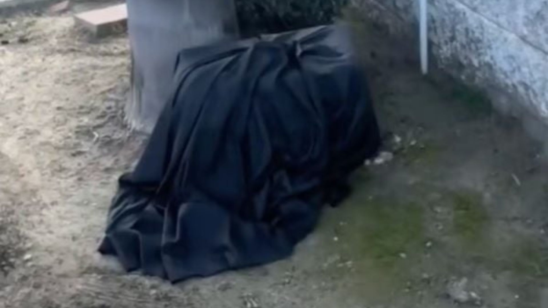 Rescuers In California Shocked To Find Tiny Family Curled Beneath A Rain-Soaked Blanket